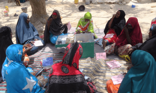 Building Resilience to Conflict and Drought in Somalia